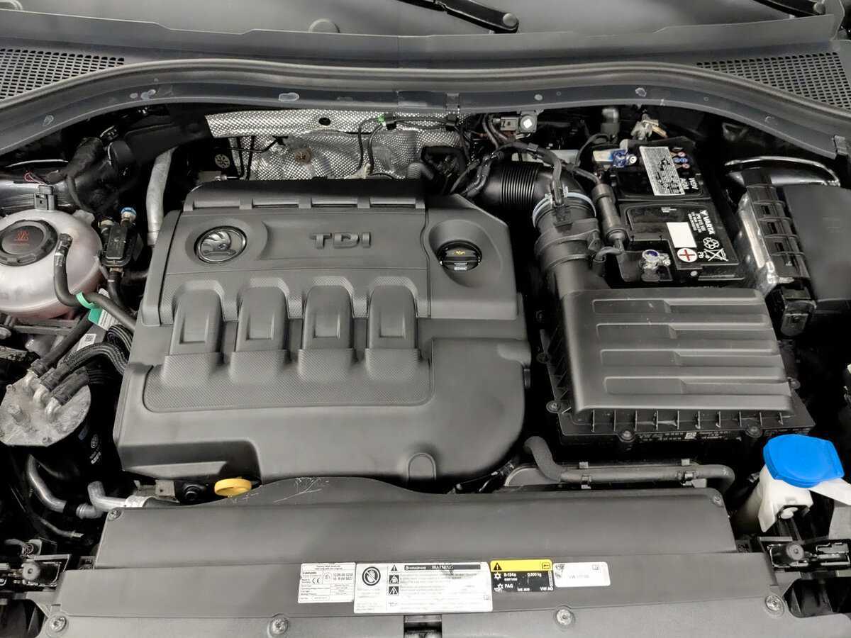 Skoda Kodiaq, 2019 Фото №9