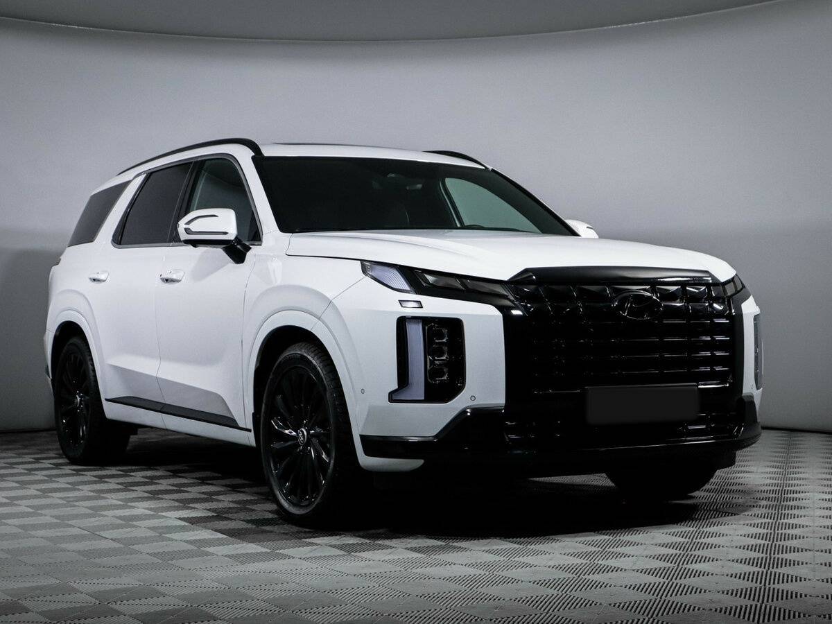 Hyundai Palisade I Рестайлинг, 2024 Фото №3