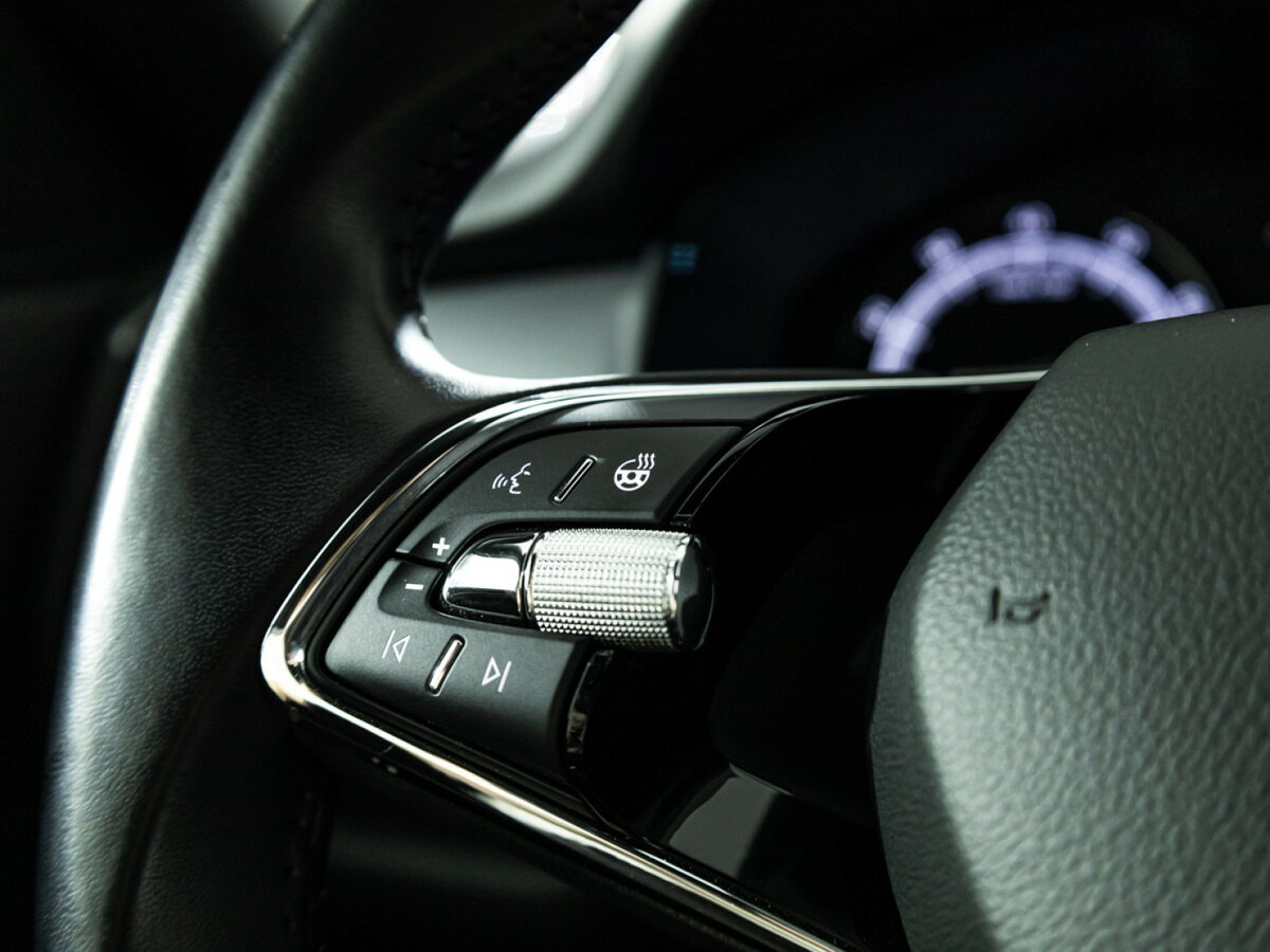 Skoda Kodiaq I, 2020 Фото №16